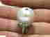 item-131462631=4