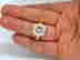 item-131462645=4