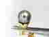 item-131462662=5