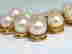 item-131462720=8