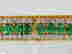 item-131462814=6