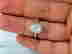 item-131462845=8