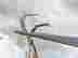 item-131463082=4