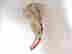item-131463117=2
