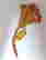 item-131463117=6