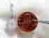 item-131463177=4