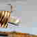 item-131463427=5