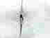 item-131463506=2