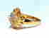 item-131463581=2
