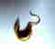 item-134028840=3
