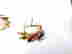 item-134029129=2