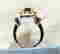 item-134029178=6