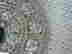 item-136233856=3