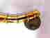 item-136236551=8