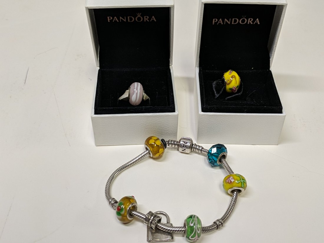 Bracelet with 8 charms: The bracelet and all of the charms are marked .925 Pandora. But it has come to our attention that they may not be authentic .925 sterling and Pandora. Therefore we will not guarantee this lot.