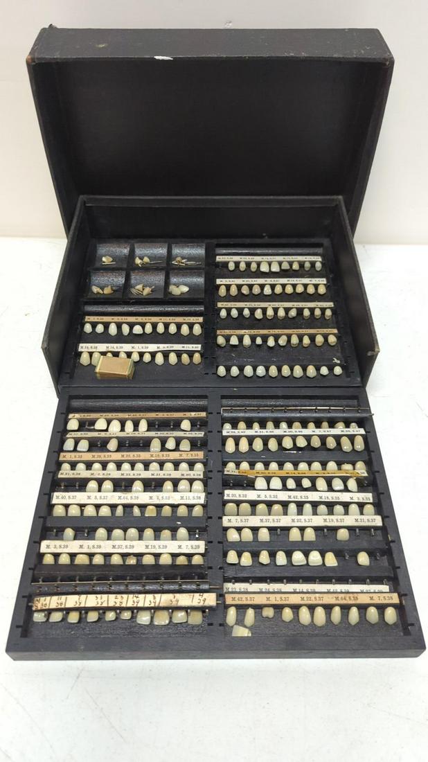 Dental Crowns Display (1 of 3)