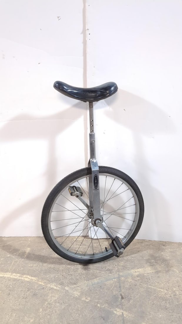 Schwinn Unicycle (1 of 3)
