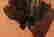item-51158234=3
