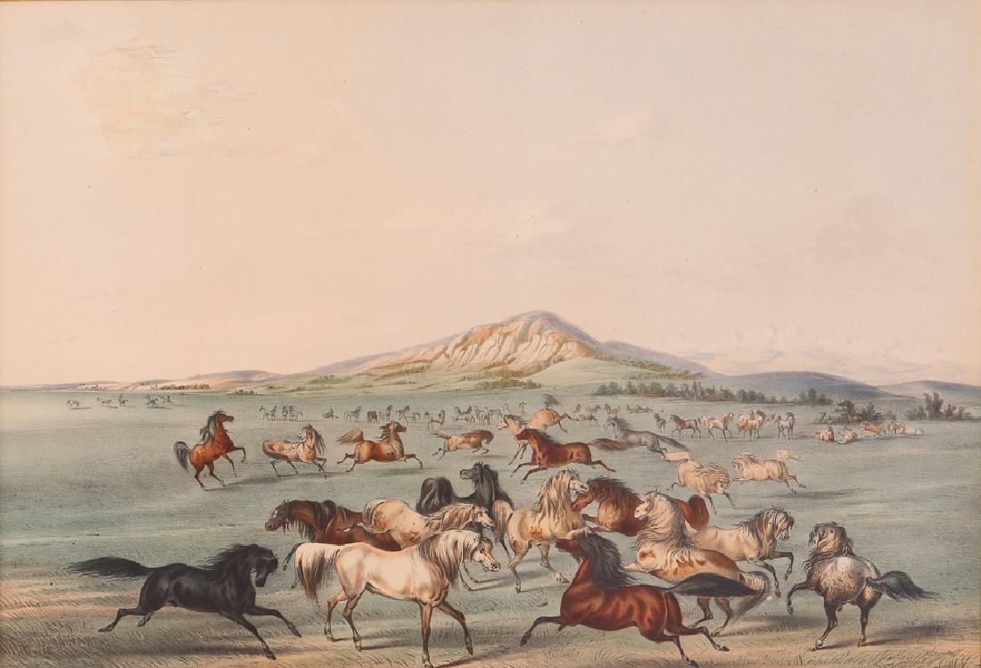 George Catlin colored lithograph Wild Horses at Play (1 of 8)