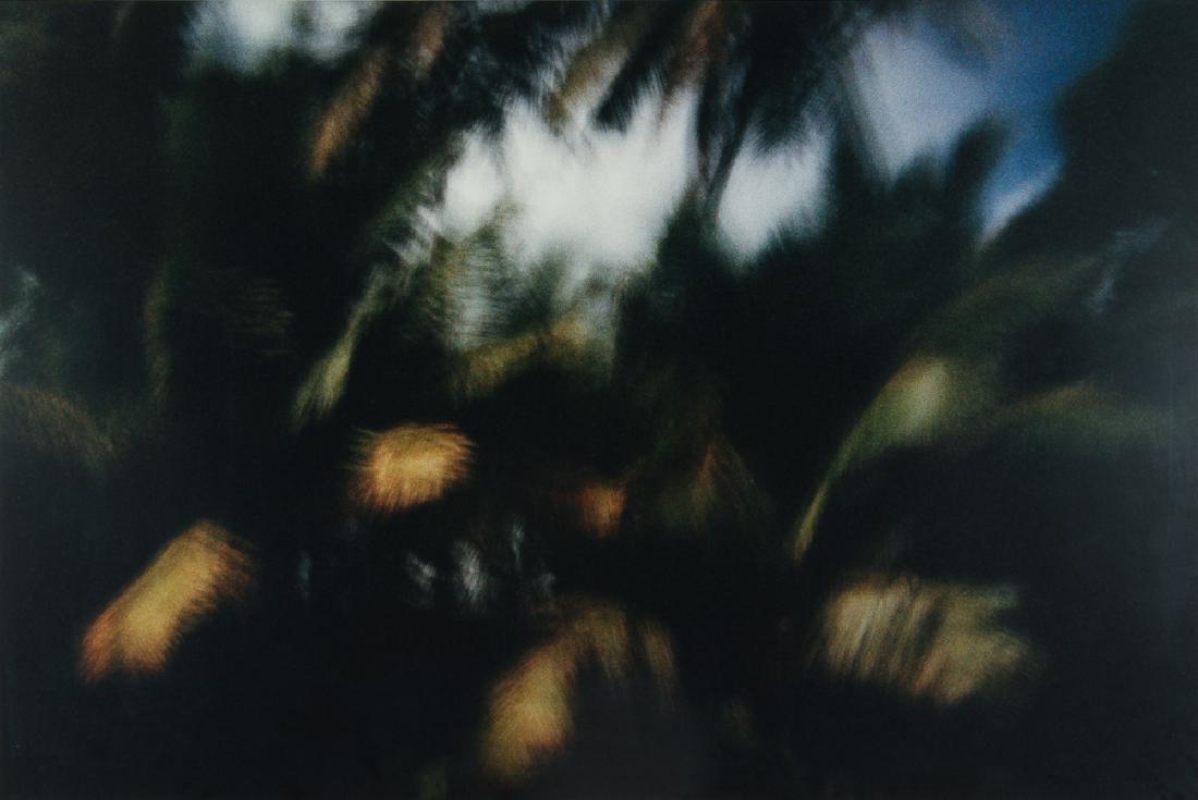 Seth Dickerman Moonlit Hamoa Palms c-print photograph: Dickerman, Seth (American, b.1956), Moonlit Hamoa Palms, mounted color photograph, 39.5 x 60 inches, signed on reverse, Provenance: Concept Art Gallery, Pittsburgh, PA; A Pittsburgh Corporate Collecti