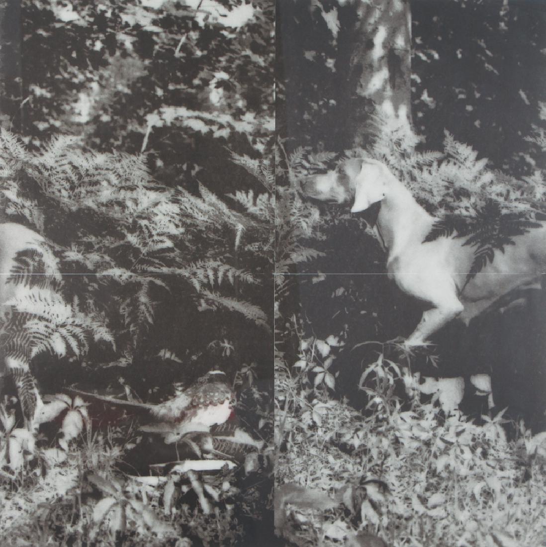 William Wegman Bird Dog 1990 photolithograph 4 pc. (1 of 8)