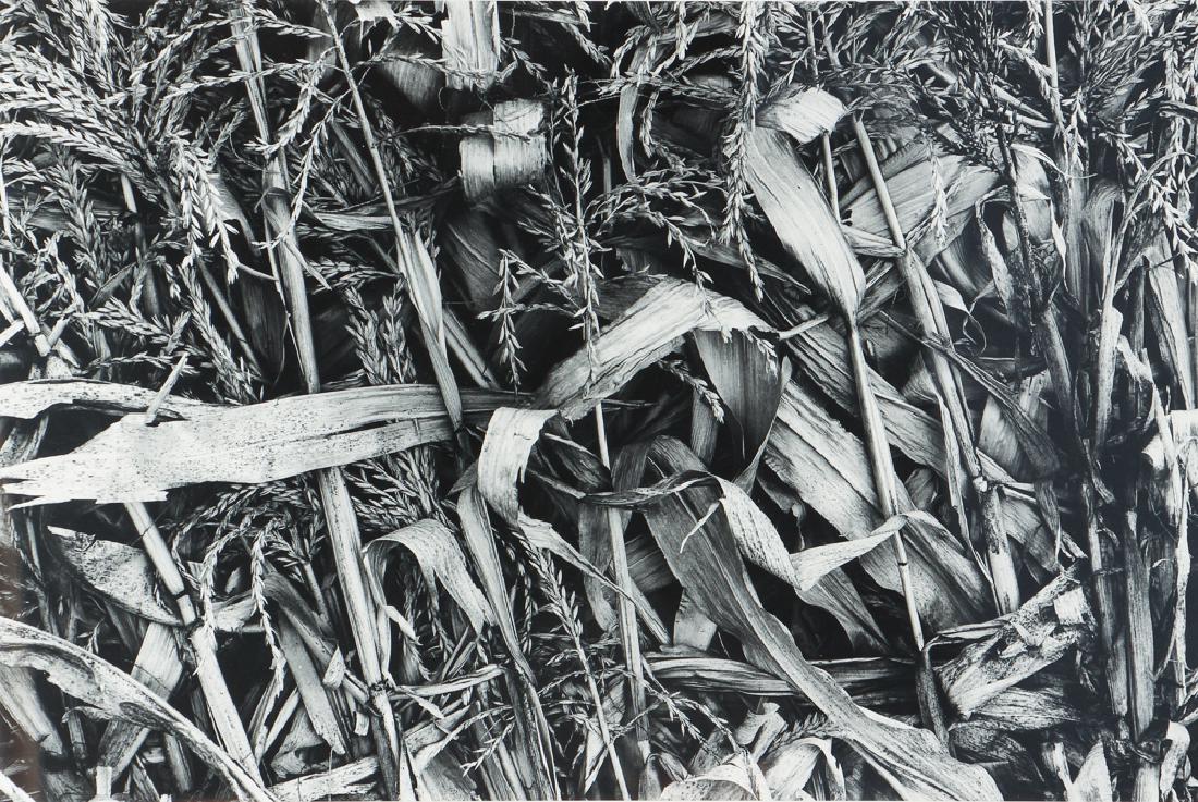 Pair of Myron Wood Photographs (1 of 8)