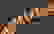 item-55433226=4