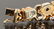 14 K Gold and Diamond Bracelet - 6