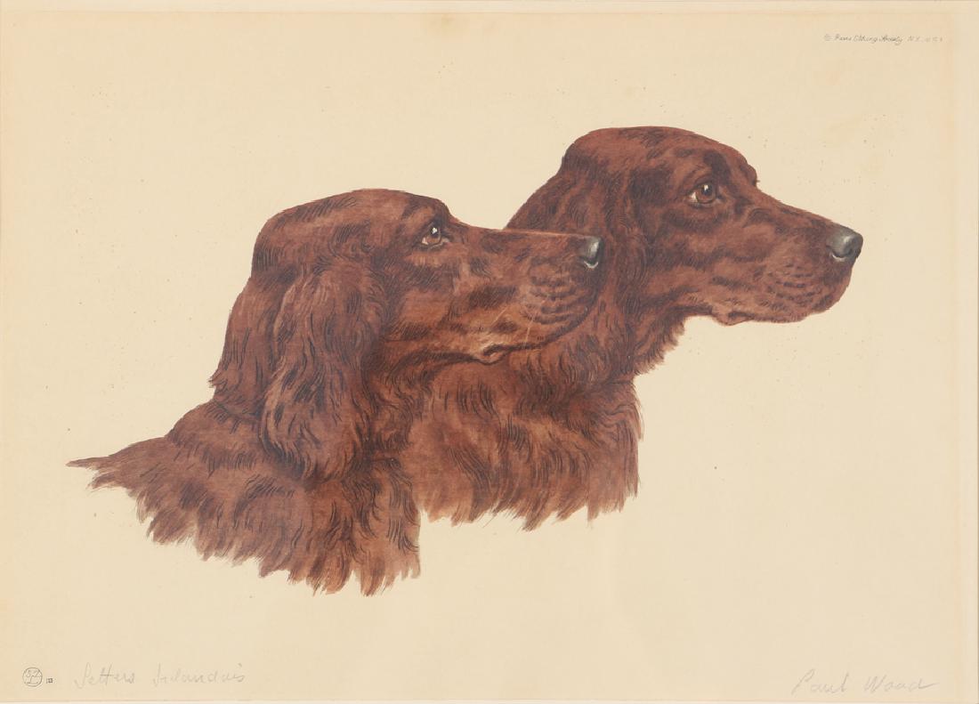 Paul Wood etching Irish Setters (1 of 7)