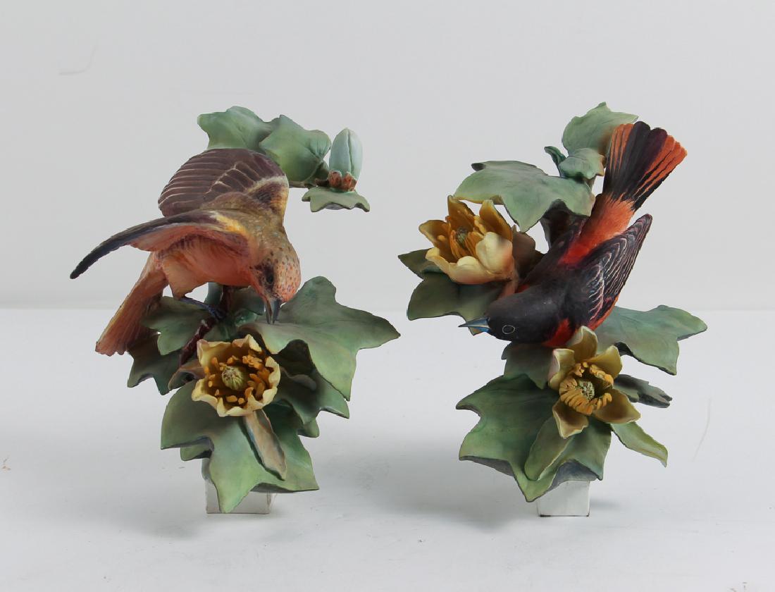 Dorothy Doughty Baltimore Orioles by Royal Worcester (1 of 10)