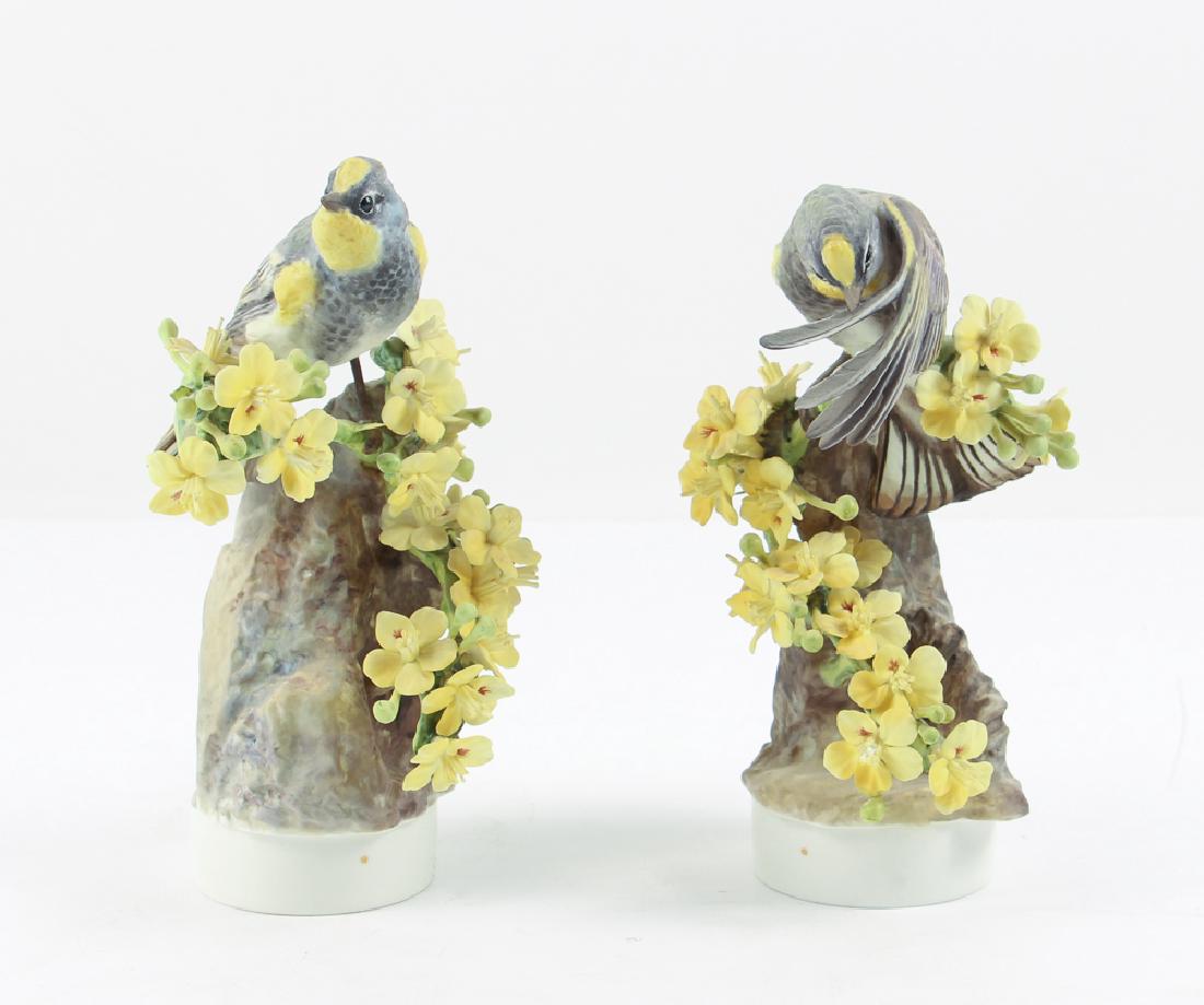 Dorothy Doughty Audubon's Warblers by Royal Worcester (1 of 10)