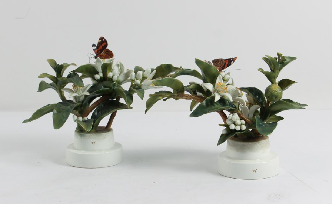 Dorothy Doughty Orange Blossoms with Butterflies: Doughty, Dorothy (1892-1962). A pair of porcelain Orange Blossoms with butterflies. Designed as a vertical branch with round base. Modeled by Dorothy Doughty for her American Birds series, and produce
