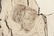 3 Jiri Anderle hybrid etchings Surreal Figural Images - 5