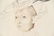 3 Jiri Anderle hybrid etchings Surreal Figural Images - 8