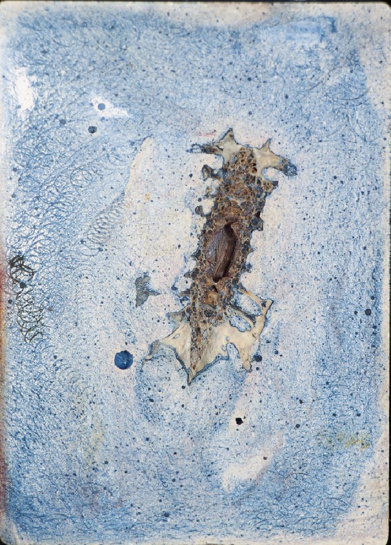 Mayme Kratz Nature Inspired Resin Sculptures: Kratz, Mayme (American, born 1958) two resin art work with nature inspired impressions, signed on the reverse, each measuring 3 by 2 1/8 inches, in wood frames measuring 4.5 by 3.5 inches.