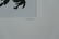 2 Ann Parker photograms Wild Roses & Red Anemone - 12