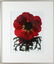 2 Ann Parker photograms Wild Roses & Red Anemone - 7