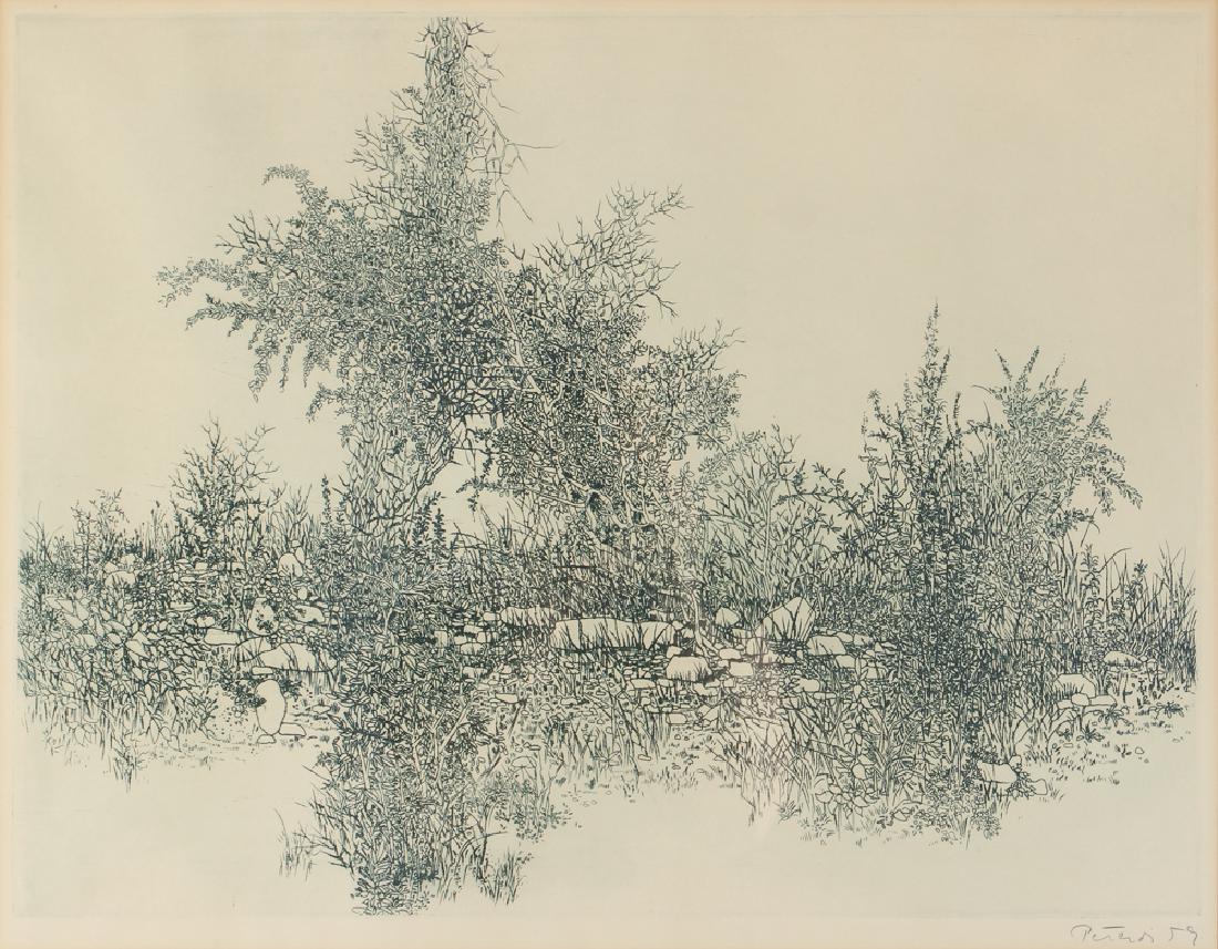 Gabor Peterdi Triumph of Weeds 1959 Etching (1 of 8)