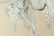 Antique Chinese Silk Needlework Showing Cockatoos - 4