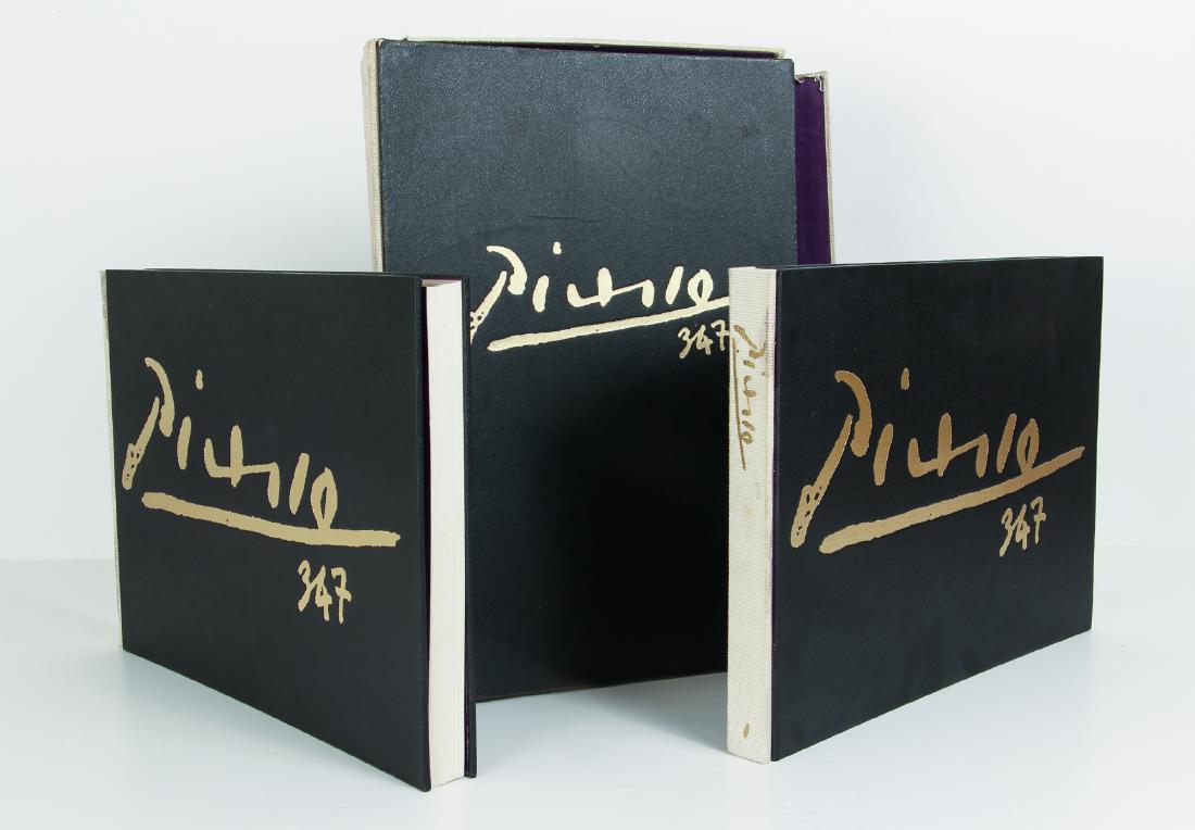 Picasso 347 Etchings Catalogue Raisonne (1 of 11)