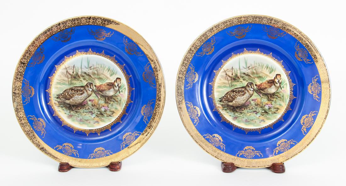 Rosenthal Porcelain Bird Decal Decorated Plates (1 of 7)