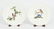 Alfred Meakin Audubon Birds of America Plates. - 6