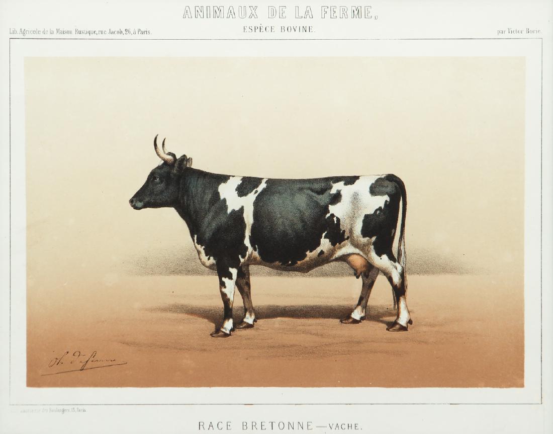 3 Decoratively Framed French Cow lithographs (1 of 9)