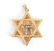 14k Gold and Diamond Star of David Pendant