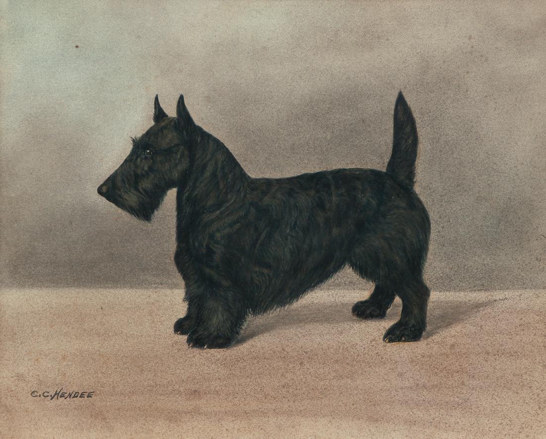 C C Hendee Scottie Dog Painting: Hendee, C. C. (English first half of the 20th Century) Scottie dog portrait, pastel and watercolor, 13.5 x 16.5 inches, signed lower left, framed measuring 16 x 19 inches