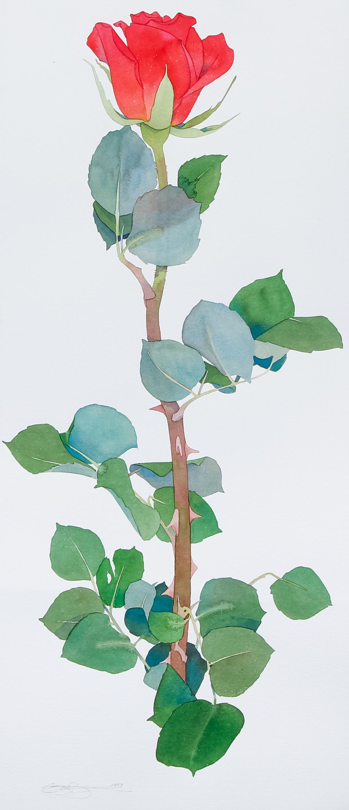 Gary Bukovnik Single Rose Stem Watercolor: Bukovnik, Gary (American, born, 1947) watercolor titled Single Rose Stem VI (Red), pencil signed and dated (1999) lower left, titled and dated on verso, unframed, provenance: Bonfoey Company (Clevelan