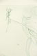 SALVADOR DALI "WALL STREET" original etching 1972 - 5