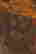 item-78016486=3
