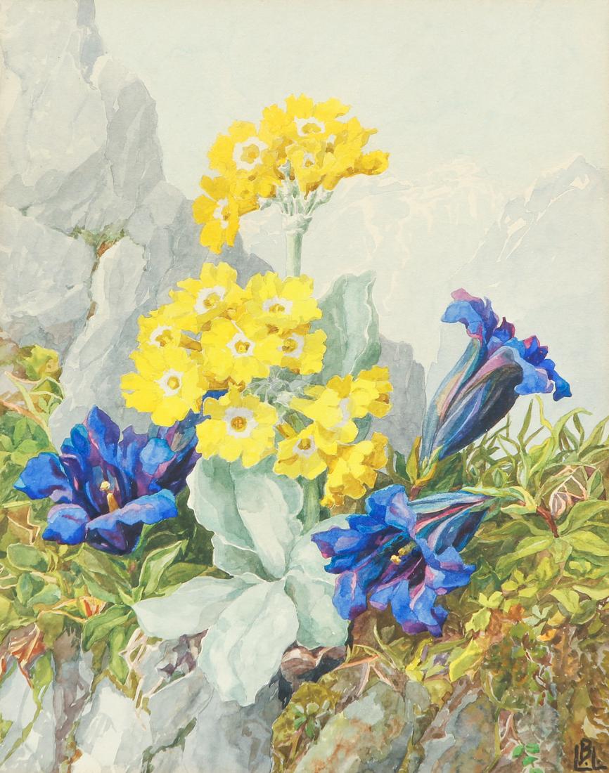 Botanical Illustration watercolor of AMARYLLIS AND (1 of 7)