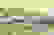 item-82013189=4